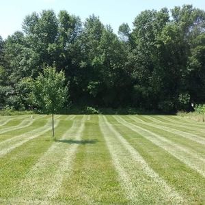 Meet your Posher, Dallas